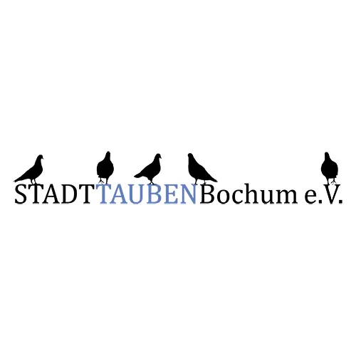 Stadttauben.webp