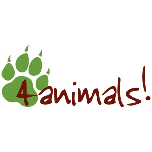 4animals500.webp