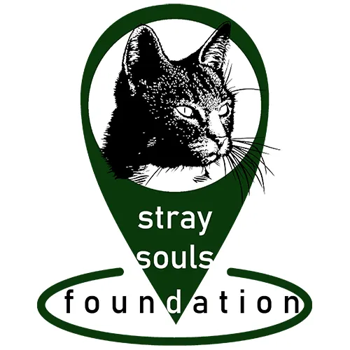stray_souls.webp